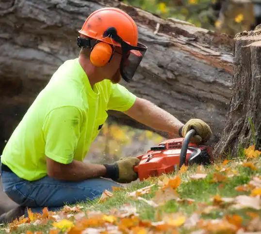 tree services Forsyth